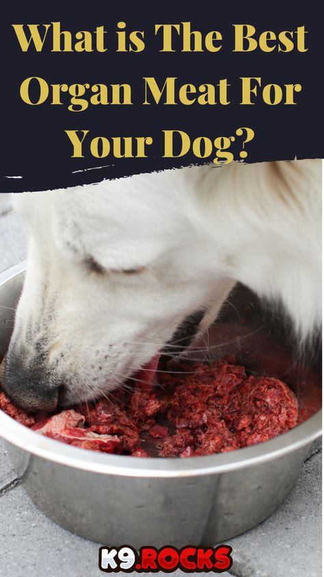 The best organ meat for your dog is beef liver.Although it sounds weird, beef liver is very nutritious.It contains from 10 to 100 times more nutrients than muscle meat. Organ Meat, Dog Health Tips, Beef Liver, Liver Health, Treat You, Dog Health, Dog Treats, For Dogs, Dog Food Recipes