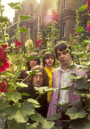 The Beatles in a forest of hollyhocks. via The Hippies were Right. Dream Photoshoot, Collage Mural, Beatles Love, Beatles Photos, Wallpaper Pastel, Music Taste, Sopot, Rock N’roll, The Fab Four