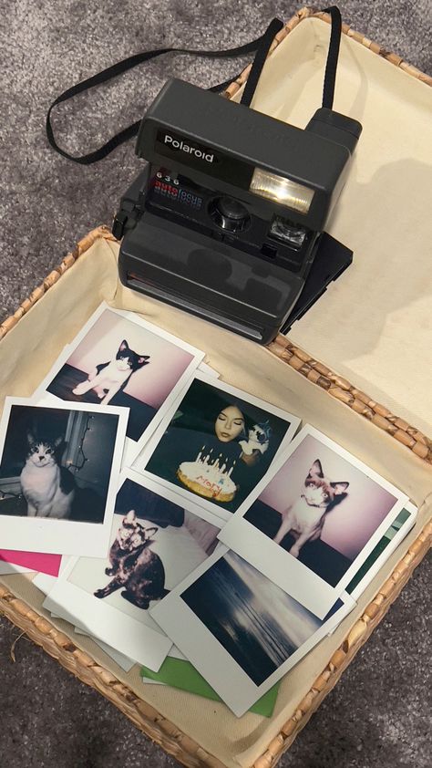 Polaroid Originals, Aesthetic Collection, Polaroid Pictures, Old Camera, Film Aesthetic, Film