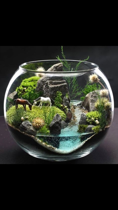 Terrarium Scene, Diy Succulent Terrarium, Taman Air, Diy Fish Tank, Beautiful Terrariums, Mini Terrarium, نباتات منزلية, Fairy Garden Designs, Moss Terrarium