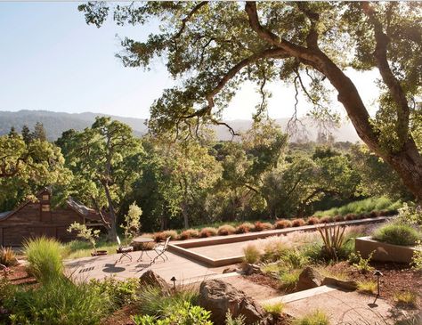 Bocce Court Backyard, Sustainable Garden Design, Bocce Ball Court, Bocce Court, Hillside Garden, Bocce Ball, Contemporary Patio, Sky Landscape, Landscape Architects