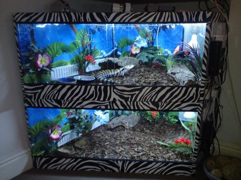 Blue tongue skinks - show viv's in the living room. - Reptile Forums Blue Tongue Skink Enclosure Ideas, Blue Tongue Skink Enclosure, Skink Enclosure, Animal Enclosures, Gecko Terrarium, Pets Stuff, Enclosure Ideas, Blue Tongue Skink, Reptile Care