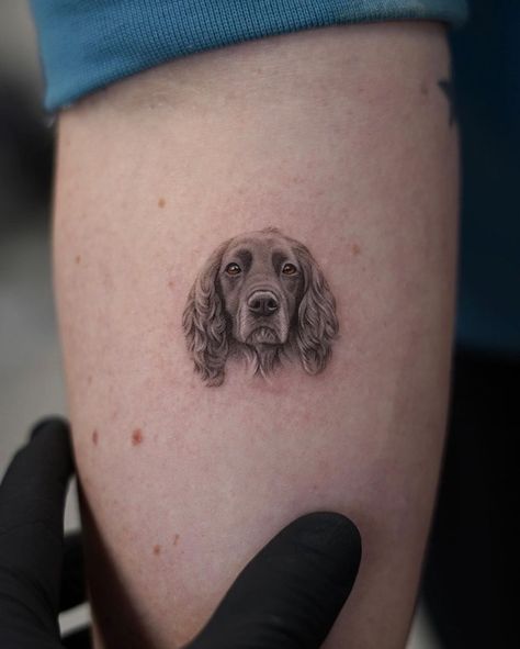 3d Dog Tattoos, Sprocker Spaniel Tattoo, Spaniel Tattoo Cocker, Mini Dog Portrait Tattoo, Pet Portrait Tattoo Ideas, Microrealism Dog Tattoo, Micro Pet Portrait Tattoos, Dog Tattoo Cocker Spaniel, Tattoo Dog Portrait