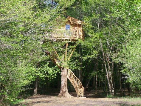 Treehouse Vacation Idea : A la Folie - Treehouselove Treehouse Vacations, Glamping Cabin, Tree Houses, Aquitaine, Wine Tasting, Glamping, Garden Arch, Tree House, Bird House