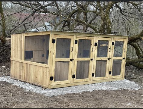 Poultry Breeding Pens, Chicken Coop With Cattle Panels, Hog Panel Chicken Coop, Wooden Spool Chicken Coop, Bamboo Chicken Coop, Building A Chicken Run, Poultry Breeds, Como Plantar Pitaya, Chicken Coop Plans For 8-10 Chickens