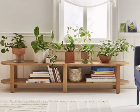 Low Bookshelf Living Room, Bookshelf Console, Media Console Bookshelf, Low Bookshelf, Low Credenza, Book Shelf Ideas Living Room, Low Media Console, Round Bookshelf, Low Bookshelves