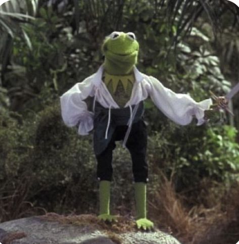 Kermit The Frog, The Frog, Spooky Season, Halloween Costume, Like You, Halloween Costumes, Tumblr, Halloween