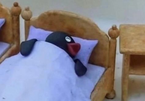 Sleep Meme Funny, Pingu Memes, Pingu Pingu, Sleep Meme, Image Meme, Music Cover Photos, Cartoon Memes, Funny Reaction Pictures, Cute Memes