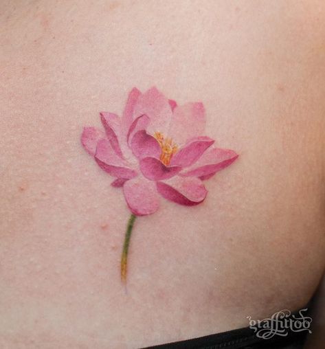 Water Lily Flower Tattoo, Flower Tattoo With Name, Best Flower Tattoos, Lily Flower Tattoo, Name Flower Tattoo, Water Lily Tattoos, Tattoos Pretty, White Rose Tattoos, Water Lily Flower