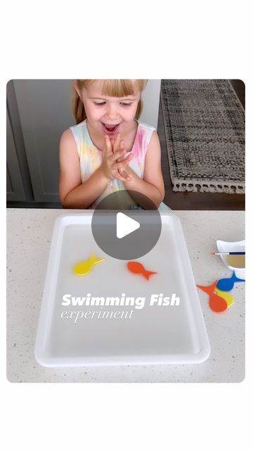 Swimming Fish, Surface Tension, Cool Science Experiments, Q Tip, Foam Sheets, Science Experiment, Dishwashing Liquid, Preschool Ideas, Fun Science