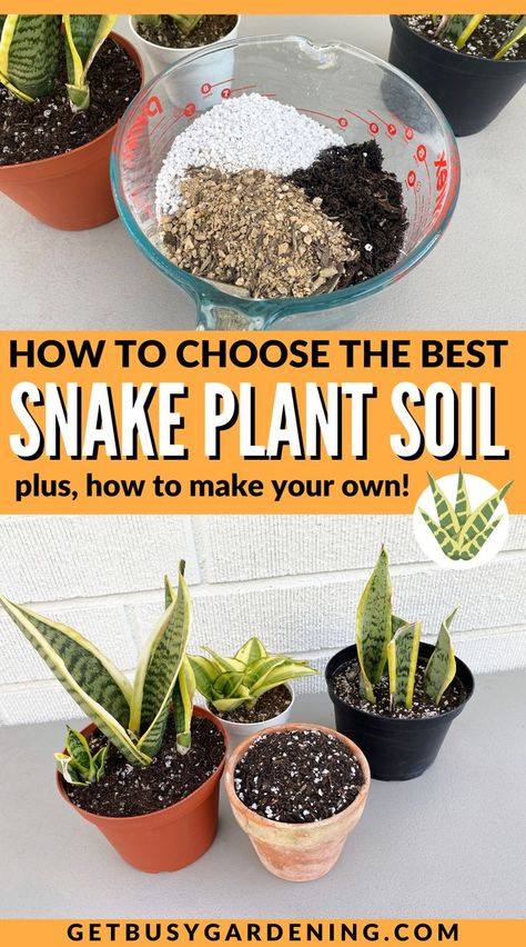 Using the right type of soil for snake plants is very important. I’ll tell you all you need to know, including the best type, what properties to look for, and I’ll also give you my soil recipe so you can mix your own. This guide covers the type of soil that snake plants need in order to thrive. You’ll learn which ones you can use, the properties to look for, and even how to mix your own with my easy soil recipe. Check out this snake plant care and soil guide. Snake Plant Soil, Snake Recipe, Soil Recipe, Snake Plant Care, Sansevieria Plant, Snake Plants, Plant Care Houseplant, Succulent Soil, Growing Plants Indoors