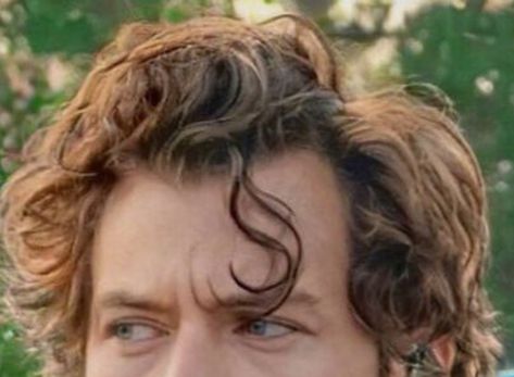 Harry Styles Curls, S Curls, S Curl, British Accent, Curl Styles, Harry Styles Photos, Stevie Nicks, Harry Edward Styles, Edward Styles