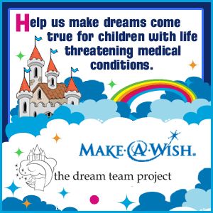 DreamTeamProject-logo-300x300 Lottery Dreams, Fundraising Poster, Make A Wish Foundation, Make Dreams Come True, Disney Vacation Planning, Disney Mom, Top Golf, Wish Come True, Helping Hands