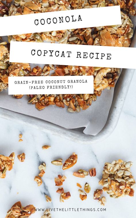 Coconola Copycat Recipe - Grain-Free Coconut Granola (Paleo Friendly!) — Live The Little Things - Healthy Recipes, Sustainable Living, Clean Beauty, Travel Purely Elizabeth Granola Recipe Copycat, Grain Free Granola Recipe, Coconut Granola Recipe, Sustainability Tips, Granola Clusters, Healthy Granola, Healthy Granola Bars, Grain Free Granola, Granola Healthy