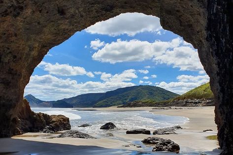 Tripadvisor | Private Tour of Bethells Beach and Lake from Auckland provided by Ezy Driver | Auckland Central Bethells Beach, Auckland Airport, Beach Reading, Queenstown, Wine Tour, Relax Time, Auckland, East Coast, Travel Photos