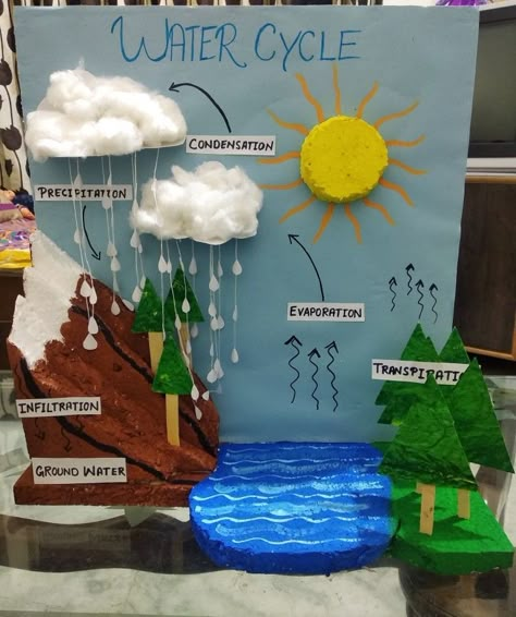 Earth And Environmental Science Project, Water Cycle Science Project, Water Cycle Craft For Kids, Home Education Ideas, Biology Art Project, Tlm For Science, Water Cycle Project Ideas, Watercycle Kids Project, Diorama Ideas Models