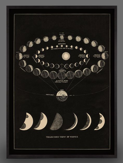 Vintage Astronomy Prints, Astronomy Poster, Graphisches Design, Astronomy Art, Constellation Print, Moon Art Print, Astrology Art, Phases Of The Moon, Art Antique