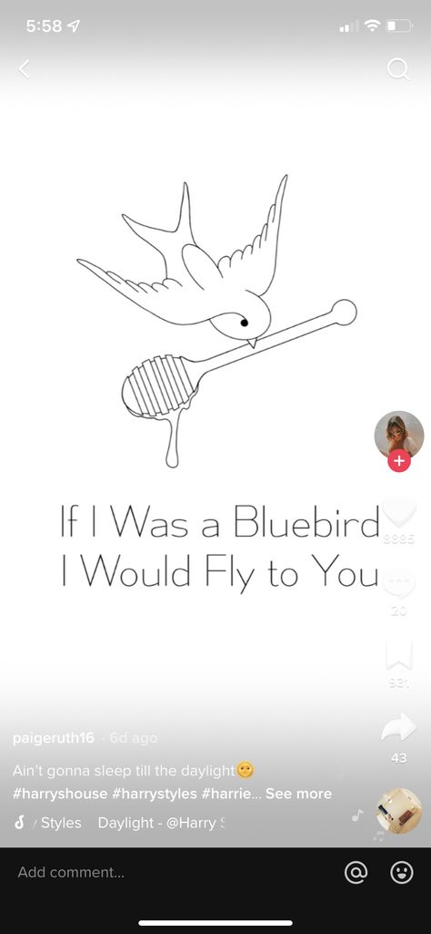 Blue Bird Tattoo Harry Styles, Harry Styles Bluebird Tattoo, Harry Styles Bird Tattoo, Bluebird Tattoo, Cute Matching Tattoos, Harry Styles Tattoos, Dainty Tattoos, Birds Tattoo, Matching Tattoos