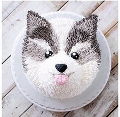 Husky cake Husky Cake Design, Husky Dog Cake, Husky Party Ideas, Cute Dog Cake Designs, Husky Cake Ideas, Wolf Cakes For Kids, Husky Birthday Cake, Dog Cake Design Ideas, Dog Cake Ideas