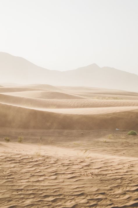 A desert is a vast landscape characterized by extreme dryness. With scarce rainfall and scorching temperatures, these arid regions support unique ecosystems adapted to survive harsh conditions. Sparse vegetation, sculpted sand dunes, and rocky terrains paint a picturesque yet challenging desert landscape. Cracked Desert Landscape, Desert Plains, Vast Landscape, Desert Landscape, Desert Landscaping, Sand Dunes, Rocky, Paint