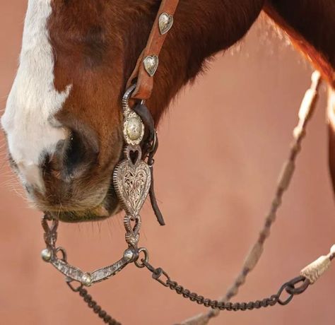 Western Saddle Aesthetic, Pretty Horse Tack, Western Photos, Bling Horse Tack, Dream Proposal, Horse Lead, Cowboy Life, Western Designs, Western Bridles