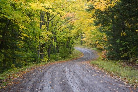 Cook County has dozens of routes that will take you from the North Shore Scenic Drive to the end of the Gunflint Trail National Scenic Byway to the U.S. Forest Service backroads that skirt around the edge of the Boundary Waters Canoe Area Wilderness. Boundary Waters Canoe Area Wilderness, Boundary Waters Canoe Area, Boundary Waters, Grand Marais, Boreal Forest, Hiking National Parks, Best Family Vacations, Continental Divide, Scenic Byway