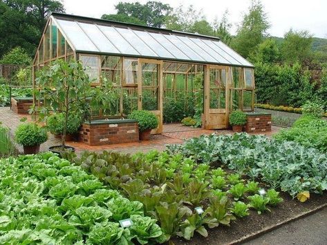 Potager Garden, Garden Design Plans, Vegetable Garden Design, Garden Care, Easy Garden, Garden Layout, Veggie Garden, Farm Gardens, Greenhouses