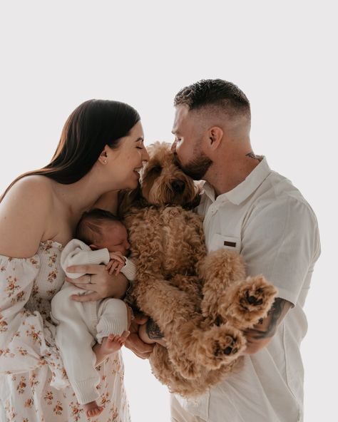 When these guys asked if they could bring their furr baby Alfie I was so excited! I love when clients bring their doggos to their sessions 🥹 Having the whole family together makes it so special plus makes for super cute photos! Family Photo With Dogs Ideas, Christmas Pets Photos, Baby And Dog Christmas Photo, Family Photos With Baby And Dog, Newborn Family Photos With Dog, Dog And Baby Pictures, Newborn And Dog Photography, Family Picture With Dog, Happy Family With Dog