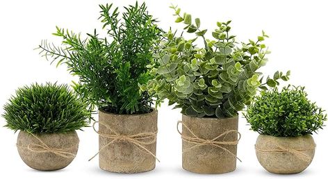 Amazon.com: PENGYEE 4Pcs Small Fake Plants for Home Decor - Faux Plants Indoor Bathroom Decor - Fake Eucalyptus Rosemary Plants Artificial Plants for Farmhouse Office Kitchen Room Shelf Greenery Decor : Home & Kitchen Topiary Shrubs, Rosemary Topiary, Plants For Home Decor, Fake Potted Plants, Desk Kitchen, Rosemary Plant, Plants For Home, Artificial Plants Indoor, Desk Plants