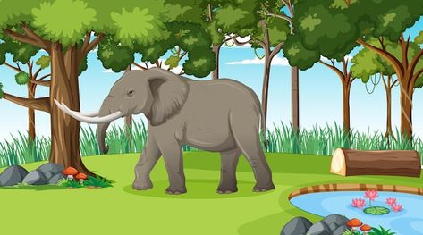 Free vector elephant in forest or rainfo... | Free Vector #Freepik #freevector #cartoon-background #cartoon-jungle #cartoon-scenery #nature-cartoon Elephant In Forest, Cartoon Jungle, Elephant Zoo, Poems In English, English Stories For Kids, Elephant Images, Short Stories For Kids, Cartoon Elephant, Forest Background