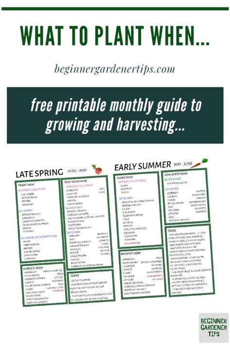 month by month gardening | free printable guide Growing Fruits And Vegetables, What To Plant When, Gardening Guide, Garden Growing, Garden Calendar, Garden Journal, Porch Garden, Garden Tips, Growing Food