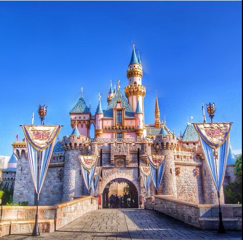 Disney Land Florida, Disneyland Images, Sleeping Beauty Castle Disneyland, Disneyland Florida, Wallpapers Disney, Disneyland Anaheim, Disneyland Castle, Disney College, Disney Kingdom