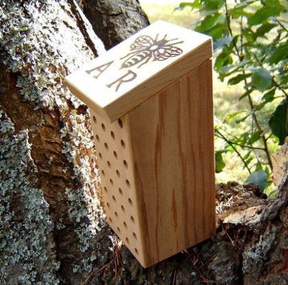 Image Mason Bee House, Grabby Hands, Hotel Images, Bee Houses, Bee Hotel, Mason Bees, Bug Hotel, Spring Fruit, Bee Boxes