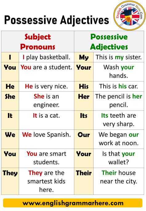 English Using Possessive Adjectives, Definition and Example Sentences The words that qualify the name are called adjectives. Adjectives are used Adjectives Grammar, Adjectives Worksheet, List Of Adjectives, Possessive Adjectives, English Adjectives, Possessive Pronoun, Adjective Worksheet, English Phonics, Spanish 1