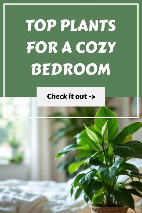 Transform your bedroom into a peaceful oasis with the best plants for the bedroom. These green beauties not only add a touch of nature to your space but also purify the air and promote better sleep. Discover how easy it is to introduce plant life into your sanctuary with our top picks of bedroom-friendly plants. From low-maintenance succulents to lush, leafy greens, find the perfect plant that suits your style and brings a sense of calmness to your bedroom decor. Plants For The Bedroom, Zz Plant Care, Best Bedroom Plants, Best Plants For Bedroom, Snake Plant Care, Plant Care Instructions, Lavender Benefits, Purple Plants, Zz Plant