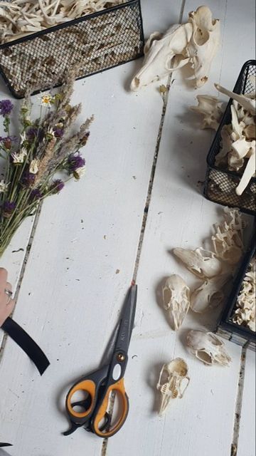 The Vulture's Cousin on Instagram: "Make a bone bouquet with me 🖤  #odditiesandcuriosities #curiosities #gothicart #darkartists #curiocabinet #boneart #vultureculture #bouquet #animalbones #driedflowers #wildflowers" Bone Bouquet, Vulture Culture, Bone Art, Animal Bones, Gothic Art, Dried Flowers, Bouquets, Wild Flowers, Bones