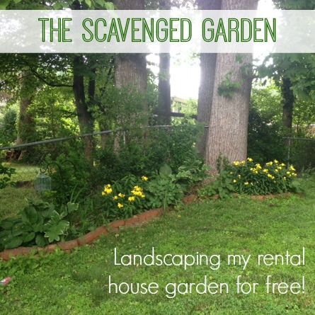 The Scavenged Garden: Landscaping a rental home yard for free #rental #landscaping #gardening #rentaldecorating Rental Garden Ideas, Window Flower Boxes, Vintage Bedroom Decor, Window Box Flowers, Daffodil Bulbs, Easy Landscaping, Large Yard, Rental Decorating, Vintage Bedroom