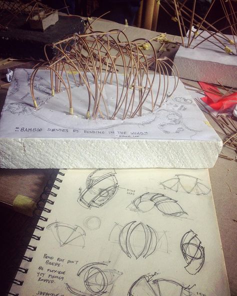 Kara on Instagram: “BambooU Day 3: Inspiration: A croissant? A rhino beetle? A sea shell? Well I was a bit hungry at this point, so I will say I built a…” Sea Shell Architecture, Shell Inspired Architecture, Biomimicry Architecture, Rhino Beetle, Bamboo Architecture, Bamboo House, Whale Shark, Masters Degree, Level 3