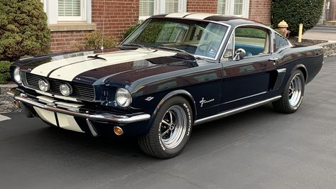 1966 Mustang, 1966 Ford Mustang Fastback, 1967 Fastback Mustang, Mustang Hatchback, 1965 Fastback Mustang, 1966 Mustang Fastback, Mustang 1968 Fastback, 1968 Ford Mustang Fastback, Mustang 1966