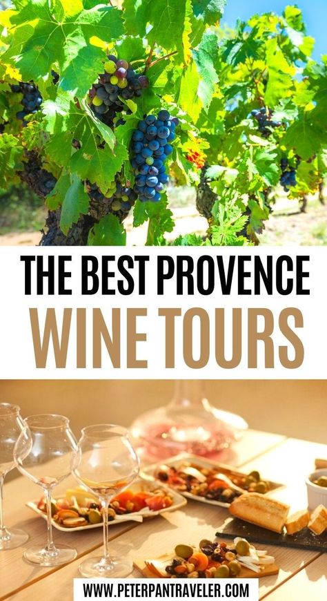 Provence France Food, Provence Vineyard, France Vacation, 7 Seas, Europe 2023, French Travel, France Itinerary, France Provence, France Travel Guide