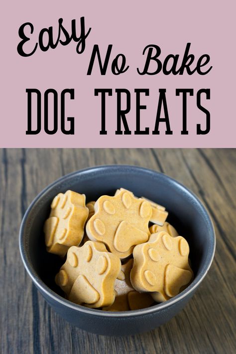 Easy No Bake Dog Treats Bake Dog Treats, Healthy Dog Snacks, No Bake Dog Treats, Easy Dog Treat Recipes, Easy Dog Treats, Peanut Butter Pumpkin, Pumpkin Dog Treats, Dog Treats Homemade Recipes, Flax Seed Recipes