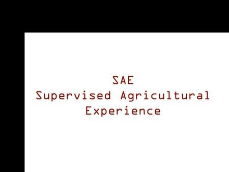 Sae Projects, Job Shadowing, Agriculture Education, Career Exploration, Research Question, Program Management, A Worksheet, Veterinary Clinic, Interactive Notebook