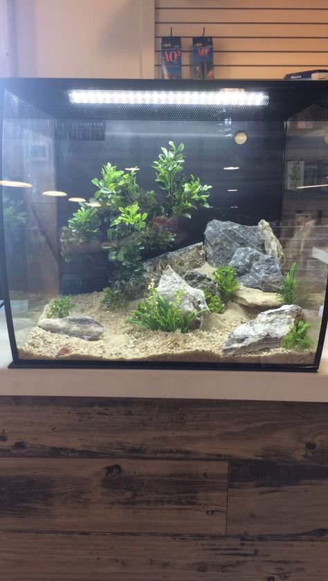 Aquarium tank dry scape/ hard scape fluval flex 15 gallon all-in-one Fluval Flex 15 Aquascape, 15 Gallon Aquascape, 6 Gallon Cube Aquascape, Fluval Flex 9 Gallon, Fluval Flex Aquascaping, 15 Gallon Fish Tank Ideas, Fluval Flex 15, Fish Tank Decoration Ideas, Tank Decoration Ideas