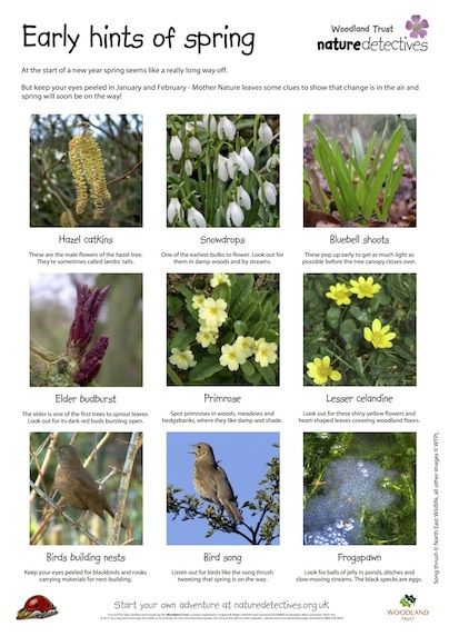 Spotting the first signs of spring First Signs Of Spring, Signs Of Spring, Exploring Nature, Spring Kids, Outdoor Classroom, Forest School, Outdoor Learning, Spring Sign, Explore Nature