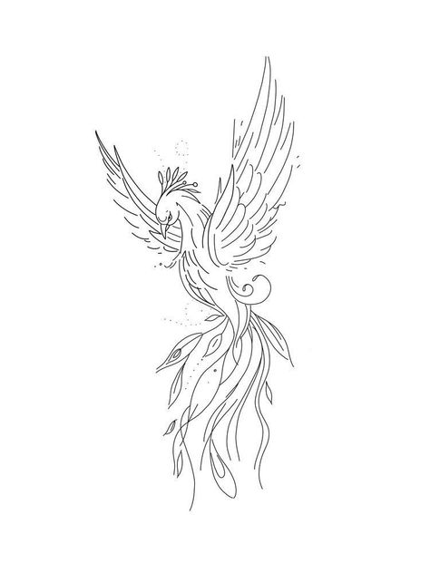 Phoenix Tattoo Linework, Linework Phoenix Tattoo, Phoenix Rising From The Ashes Tattoo, Cendrawasih Art, Phoenix Tattoo Fine Line, Phoenix Outline Tattoo, Phoenix Minimalist Tattoo, Phoenix Line Tattoo, Phoenix Tattoo Minimalist