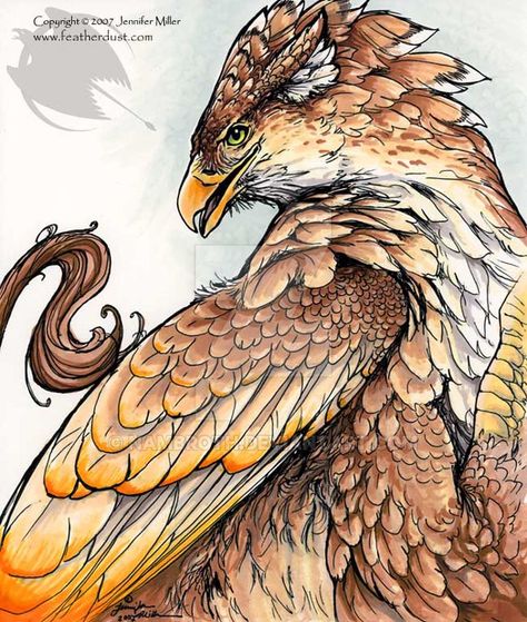 Firewing Gryphon by Nambroth on DeviantArt Beehive Art, Corel Painter, High Elf, An Eagle, Mythical Creatures Art, Learn Art, Ink Sketch, Creature Art, Mythical Creatures