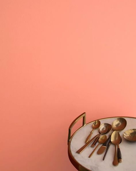 Peach Living Rooms, Peach Paint Colors, Coral Paint Colors, Paint Color Swatches, Orange Paint Colors, Peach Paint, Pink Paint Colors, Peach Walls, Paint Color Schemes