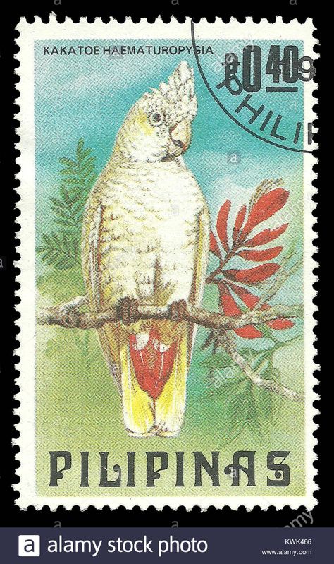 Philippine Cockatoo, Philippine Stamp, Journal Moodboard, Vintage Philippines, Philippine History, Postage Stamp Collection, Philippines Culture, Filipino Culture, Mail Stamp