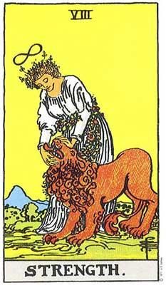 Strength Meaning - Major Arcana Tarot Card Meanings – Labyrinthos Kartu Tarot, Biddy Tarot, Strength Tarot, Tarot Significado, Learn Tarot, Major Arcana Cards, Rider Waite Tarot, Birth Cards, Tarot Major Arcana