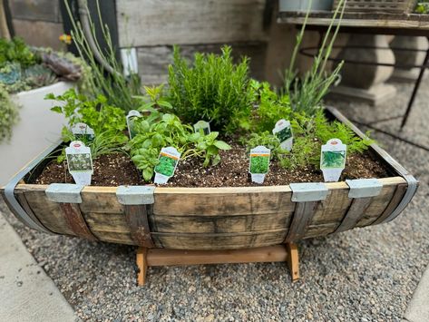 How cool are these themed herb gardens uniquely planted in genuine whiskey barrel? Adds rustic charm to any outdoor space! These distinctive gardens offer a variety of culinary and medicinal herbs, creating a delightful and functional focal point for your patio or garden. 🪴 ••• #rogersgardens #herbs #herbcontainer #ediblegarden #culinarygarden #medicinalherbs #gardening #gardentotable #plantcontainers Rogers Gardens, Herb Containers, Herb Gardens, Garden Deck, Deck Garden, Whiskey Barrel, Edible Garden, Medicinal Herbs, Container Plants